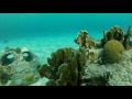 Snorkelen op Curacao: Porto Marie