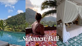 YOU HAVE TO COME HERE IF YOU VISIT BALI - Sidemen / Wapa Di Ume 💛 | The Intuitive Medic