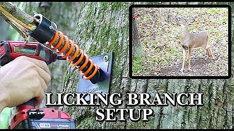 HODAG Licking Branch Setup: How to Install the HODAG Licking Branch