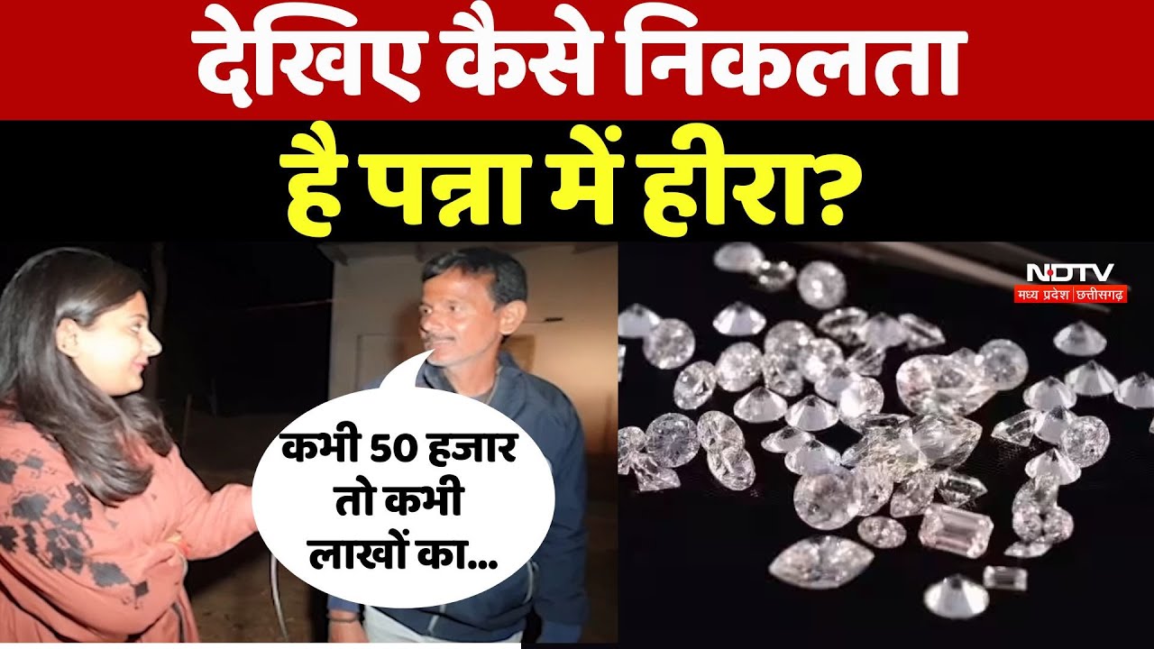 Panna में कैसे निकलता है Diamonds देखिए | Madhya Pradesh | Viral Video | Diamond Mine | Latest