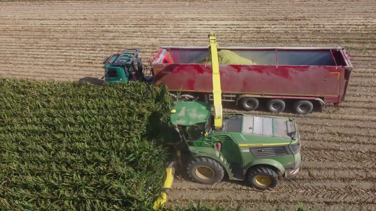 Siláž 2024 .Řezačka John Deere 9600i. Ůsovsko a.s. Klopina