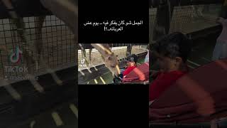 جمل @VisitAbuDhabiChannel  camel animals summervibes fyp