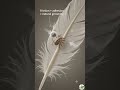 Why Sparrows Bathe in Dust, Not Water | Friction & Adhesion 🌾 #shorts