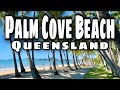 PALM COVE BEACH, Queensland Australia