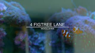 4 Figtree Lane, Woollahra