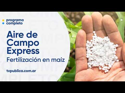 Fertilizing: Producing Better by Valuing the Soil - Aire De Campo Express