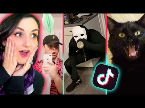 reacting-to-my-favorite-tik-tok-videos-2