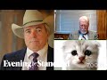 ‘I am not a cat’: Texas lawyer goes viral after appearing with cat filter before judge on Zoom