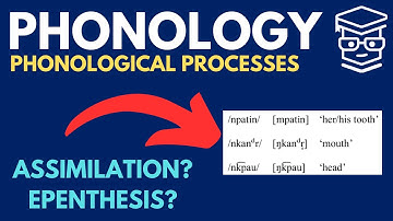 Phonological Processes (Assimilation, Dissimilation, Epenthesis...)