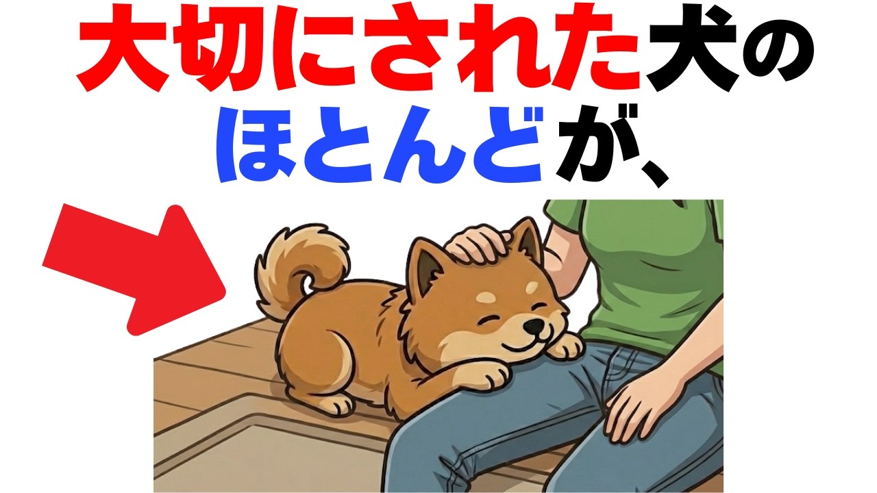 【幸せの証拠】大切に育てられた犬がする９つの特徴