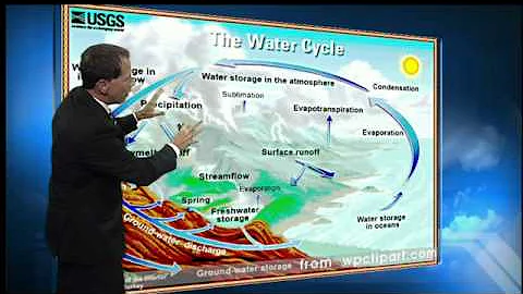 Where does water go when it evaporates?