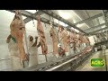 Gorina, el sello argentino en carne vacuna que llega al mundo (#769 2018-04-28)
