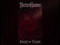 NocturnHammer – Maze of Flesh (Official Lyric Video | Brutal Metal) #metal #metalfans #musica #music