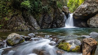 Tertidur dalam 5 menit dengan suara air mengalir di hutan tropis #suaraair #suaraalam #air