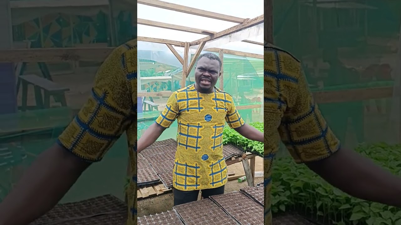 la pépinière hors-sol D'AFRIK-AGRICULTURE