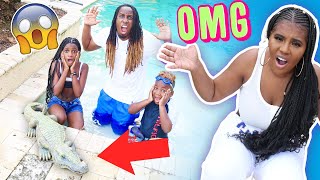 CAN'T BELIEVE WE FOUND AN ALLIGATOR IN OUR SWIMMING POOL
