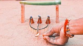 Aloe Vera Vs Matchstick Anar Experiment