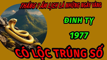 Tử vi tháng 7 âm lịch cho tuổi đinh Tỵ 1977 may mắn trở lại lột xác đổi đời giàu sang ngoạn mục 