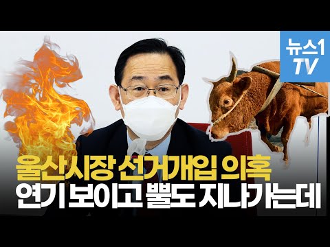 주호영 &amp;quot;울산시장 선거개입 의혹, 불도 소도 없다는 억지&amp;quot;
