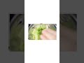 Honeydew Almond Gazpacho