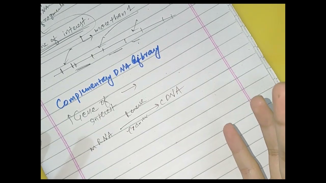 Biotechnology and Human Disease/DNA libraries/Genetics/Lippincott Biochemistry