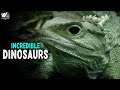 Incredible Dinosaurs | Incredible Dinosaurs Found Alive on Earth | World Documentary HD
