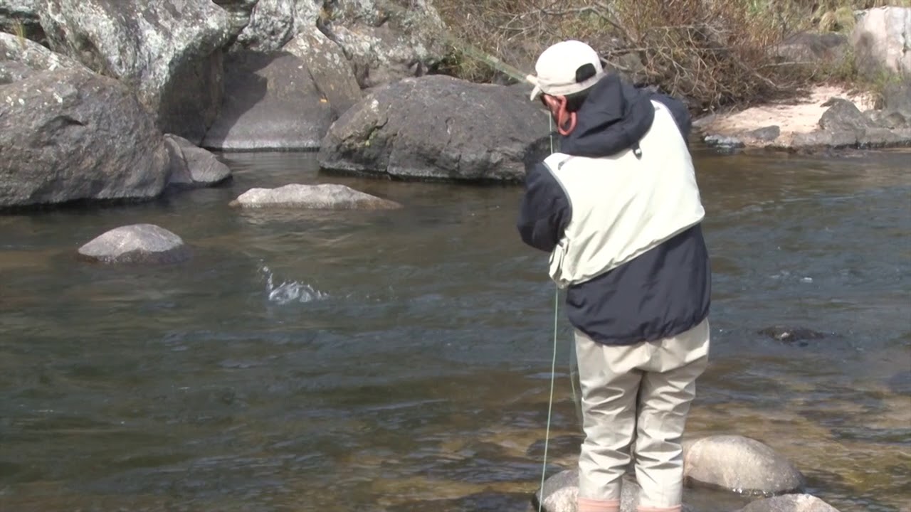 Pesca con mosca en Cordoba Argentina // Fly fishing in mountains of