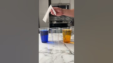 Will the water actually walk?  - Capillary Action Experiment!