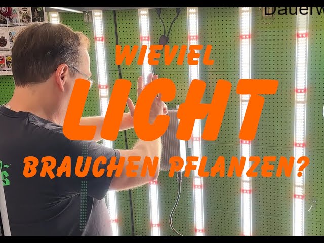 Wieviel Licht brauchen Pflanzen?