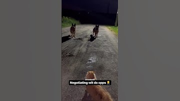 I Left Coco With The Opps 🏃