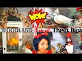 WOW🎄Woodland themed Christmas thrift flips . Diy decor you must see🎄