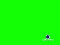 Spherekin Screen Bug Template 1999 2010 