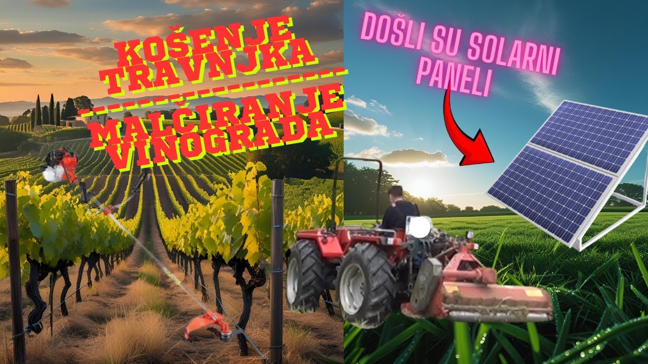 DOŠLI SU SOLARNI PANELI + KOŠENJE VINOGRADA I TRAVNJAKA *OKOLOKUĆNI POSLOVI*