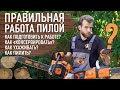 Правильная работа пилой | Фишки и лайфхаки от ТЕХ.АС