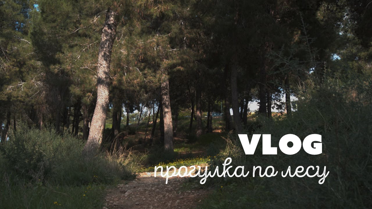 VLOG | После вечеринки | Гедера. Прогулка по лесу.