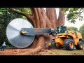 Extreme Dangerous Fastest Big Chainsaw Cutting Tree Machines | Monster Stump Removal Excavator #2
