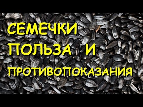 Семечки подсолнуха. Польза и вред.