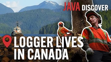 The Real Lives of Loggers in Canada: From Forest to Factory | Canadian Lumberjack Documentary