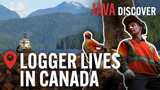 The Real Lives of Loggers in Canada: From Forest to Factory | Canadian Lumberjack Documentary