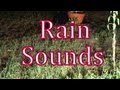 The Sound of Rain w/o Music 60mins "Sleep Sounds"