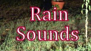 The Sound of Rain w/o Music 60mins "Sleep Sounds"