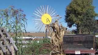 Illinois Stories | Arthur Great Pumpkin Patch | WSEC-TV/PBS Springfield