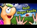 Cartoon Snail Kid Finger Family Nursery Finger Family Rhymes For Children Cartoon Snail Kid Finger Family Nursery Finger Family Rhymes For Children