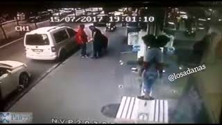 Отчаянная кошка напала на собаку и её хозяйку повалила на пол Отчаянная кошка напала на собаку и её хозяйку повалила на пол