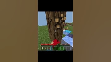 Minecraft but if I touch any block convert into random block #shorts#minecraft#viral