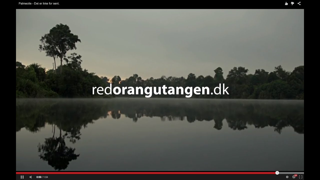 Palmeolie. Når du vælger varer i supermarkedet, giver det ekko på Borneo.