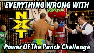 Everything Wrong With WWE NXT Season 2: POWER OF THE PUNCH CHALLENGE Net Worth