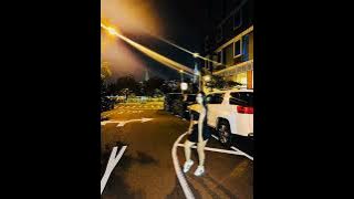 Las Energías No Mienten Tito El Cachorro