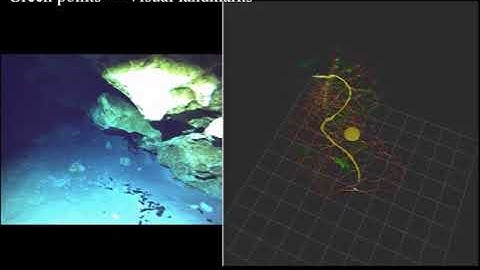 Underwater Structure Mapping by SONAR, Vision, Inertial and Depth Information Fusion