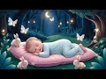 Best Sweet Dreams Lullabies for Babies and Toddlers | Goodnight Lullabies @DreamBigLullaby